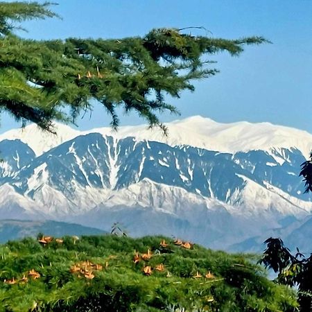Aditya Homestay Dalhousie Zewnętrze zdjęcie