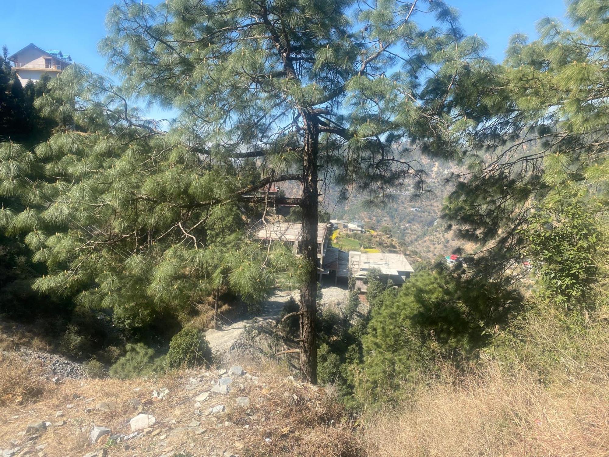 Aditya Homestay Dalhousie Zewnętrze zdjęcie